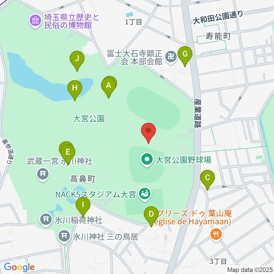 埼玉県営大宮公園野球場周辺のファミレス・ファーストフード一覧地図