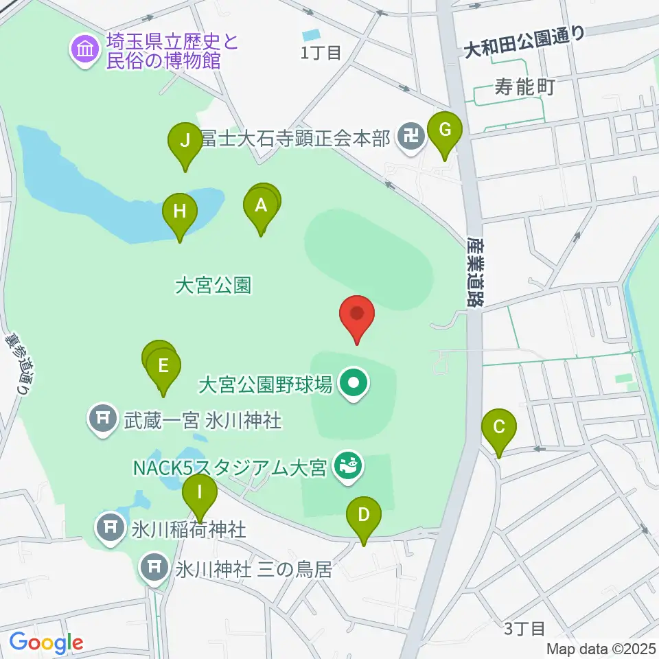 埼玉県営大宮公園野球場周辺のファミレス・ファーストフード一覧地図