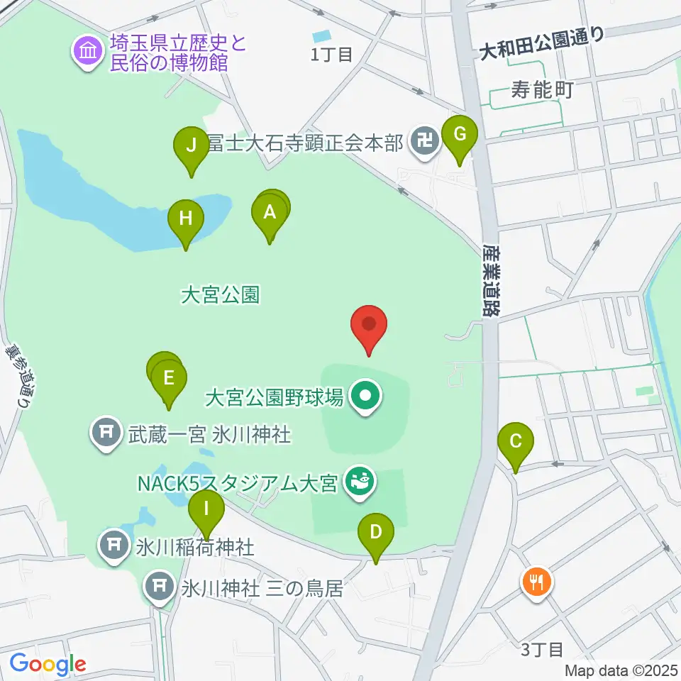 埼玉県営大宮公園野球場周辺のファミレス・ファーストフード一覧地図