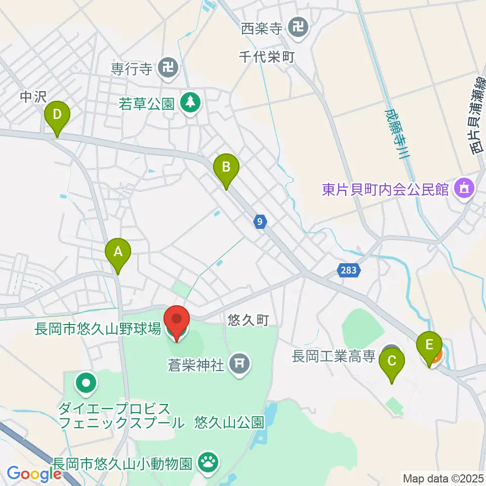 長岡市悠久山野球場周辺のファミレス・ファーストフード一覧地図