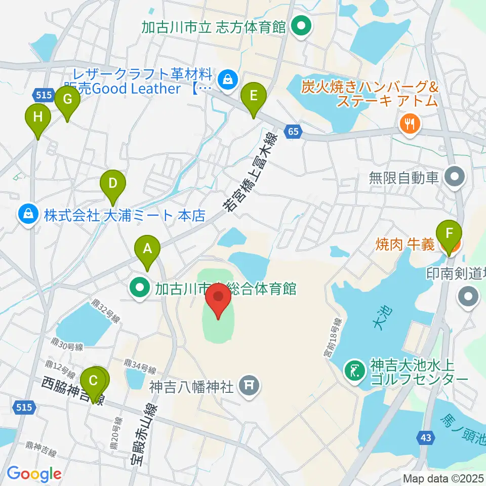 SHOWAグループ陸上競技場周辺のファミレス・ファーストフード一覧地図