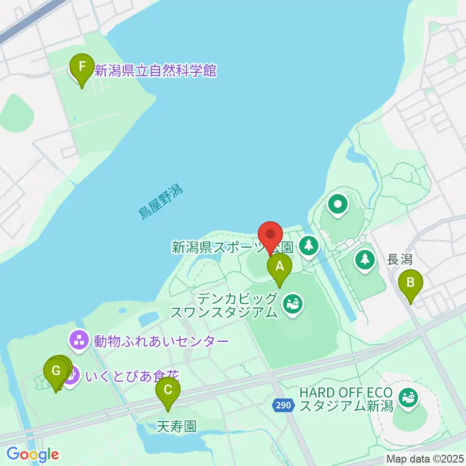 デンカスワンフィールド周辺のファミレス・ファーストフード一覧地図