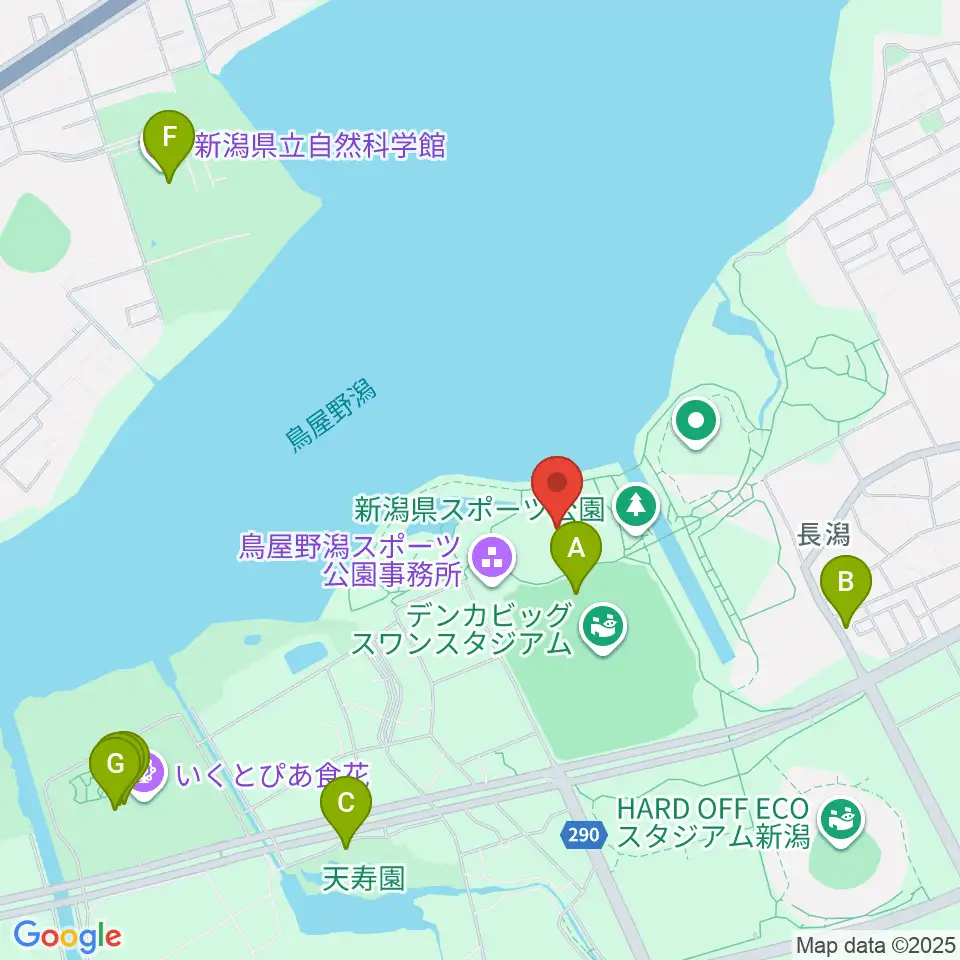 デンカスワンフィールド周辺のファミレス・ファーストフード一覧地図