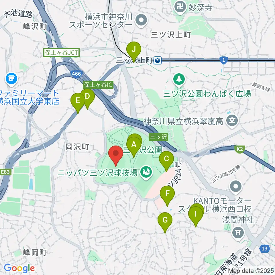 三ツ沢公園陸上競技場周辺のファミレス・ファーストフード一覧地図
