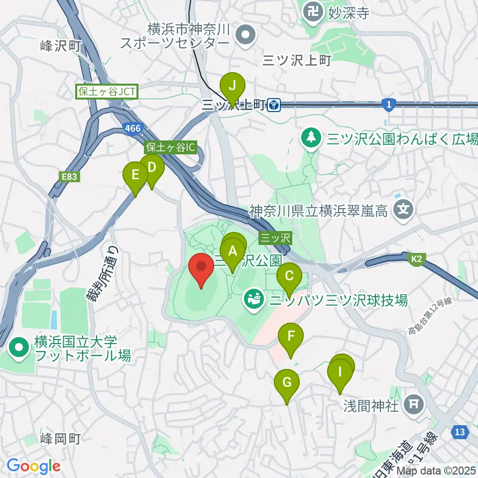 三ツ沢公園陸上競技場周辺のファミレス・ファーストフード一覧地図