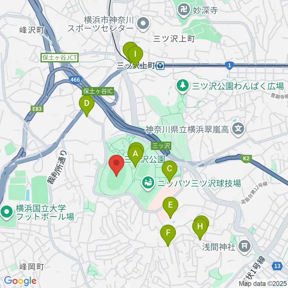 三ツ沢公園陸上競技場周辺のファミレス・ファーストフード一覧地図