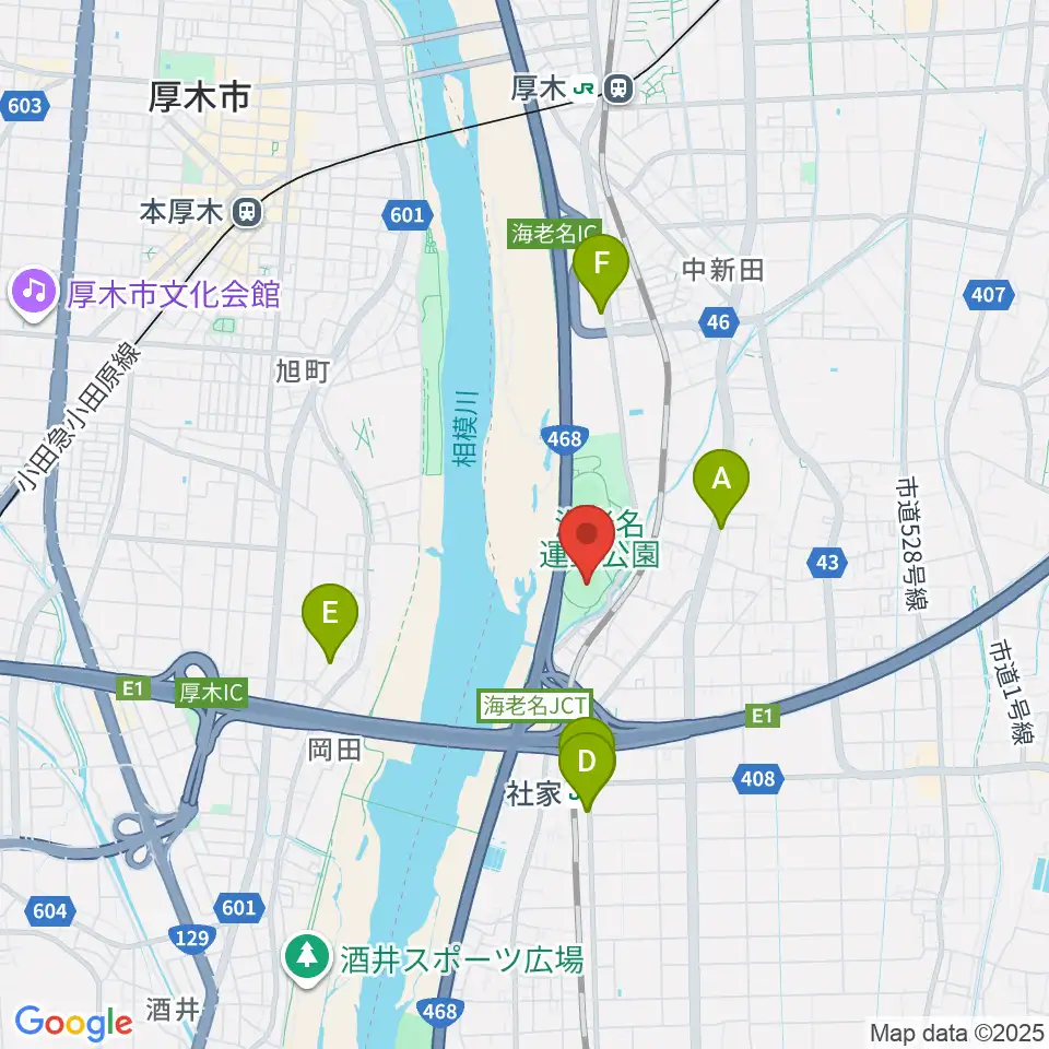 海老名運動公園野球場周辺のファミレス・ファーストフード一覧地図