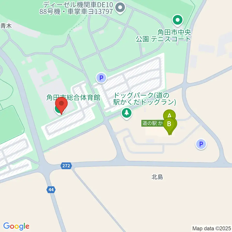 NIKKOアリーナかくだ周辺のファミレス・ファーストフード一覧地図