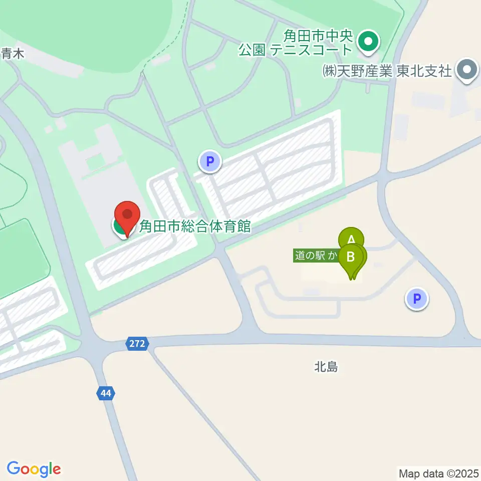 NIKKOアリーナかくだ周辺のファミレス・ファーストフード一覧地図