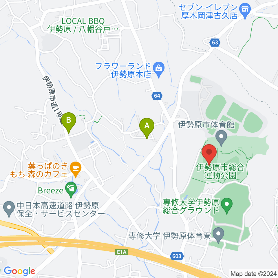 伊勢原市総合運動公園自由広場周辺のファミレス・ファーストフード一覧地図