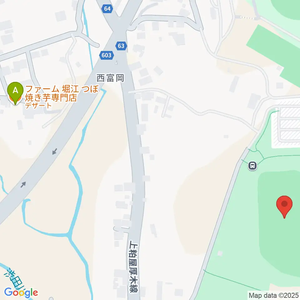 伊勢原市総合運動公園自由広場周辺のファミレス・ファーストフード一覧地図