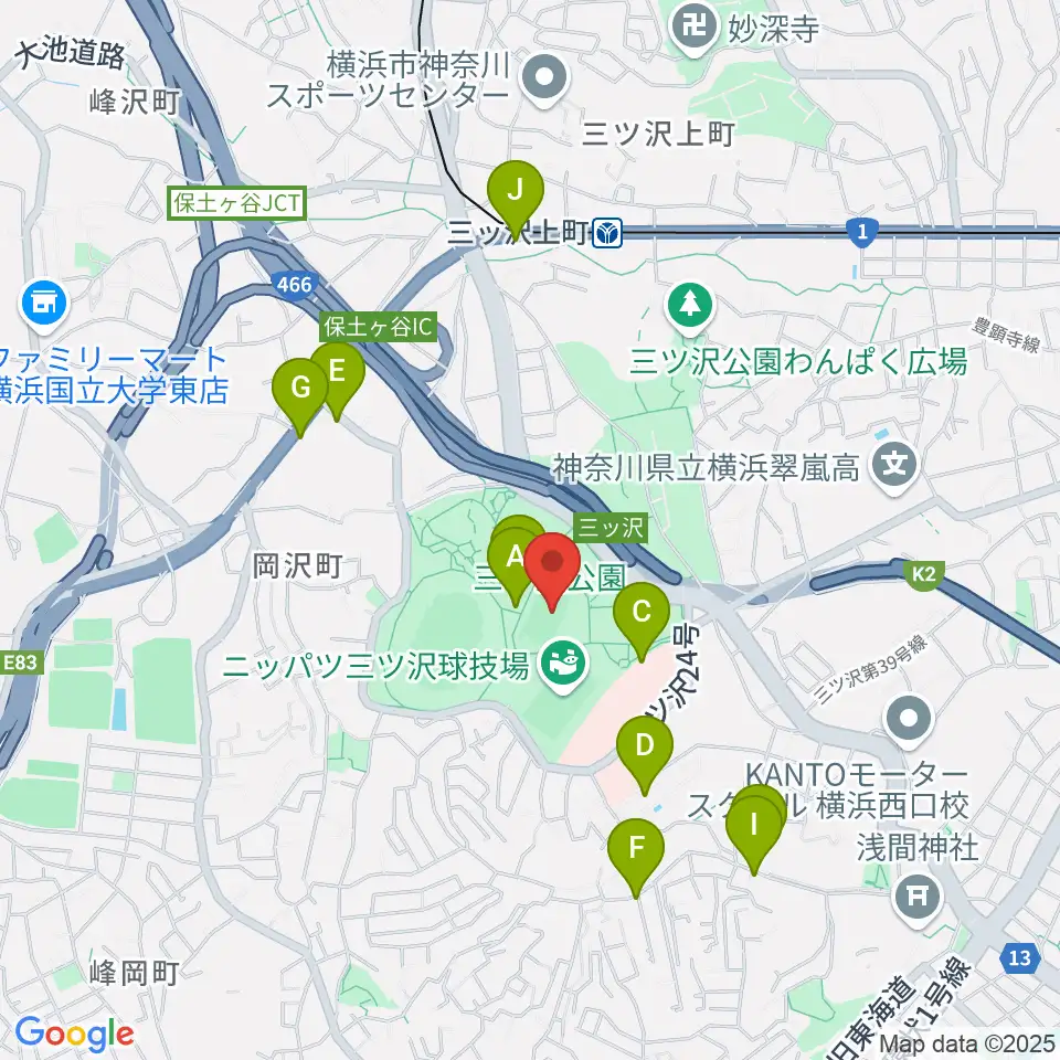 三ツ沢公園補助陸上競技場周辺のファミレス・ファーストフード一覧地図
