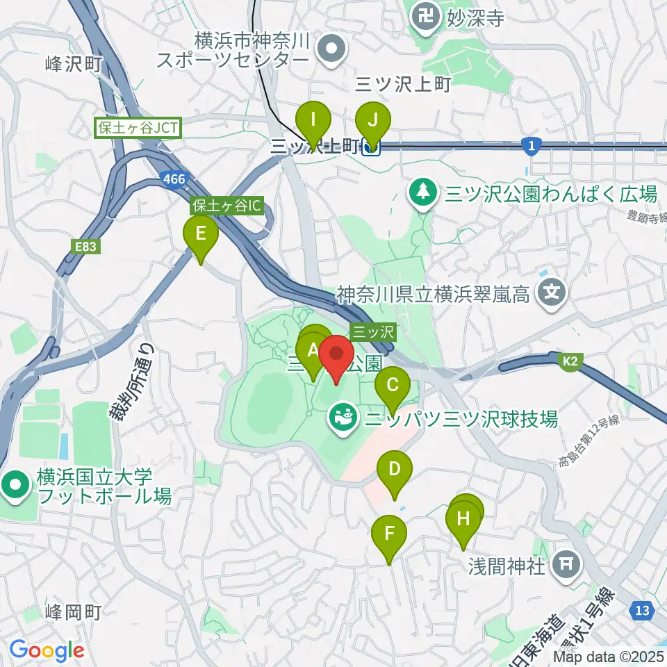 三ツ沢公園補助陸上競技場周辺のファミレス・ファーストフード一覧地図