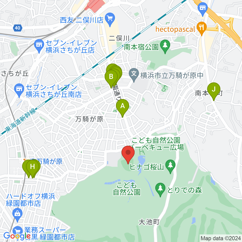 こども自然公園野球場周辺のファミレス・ファーストフード一覧地図