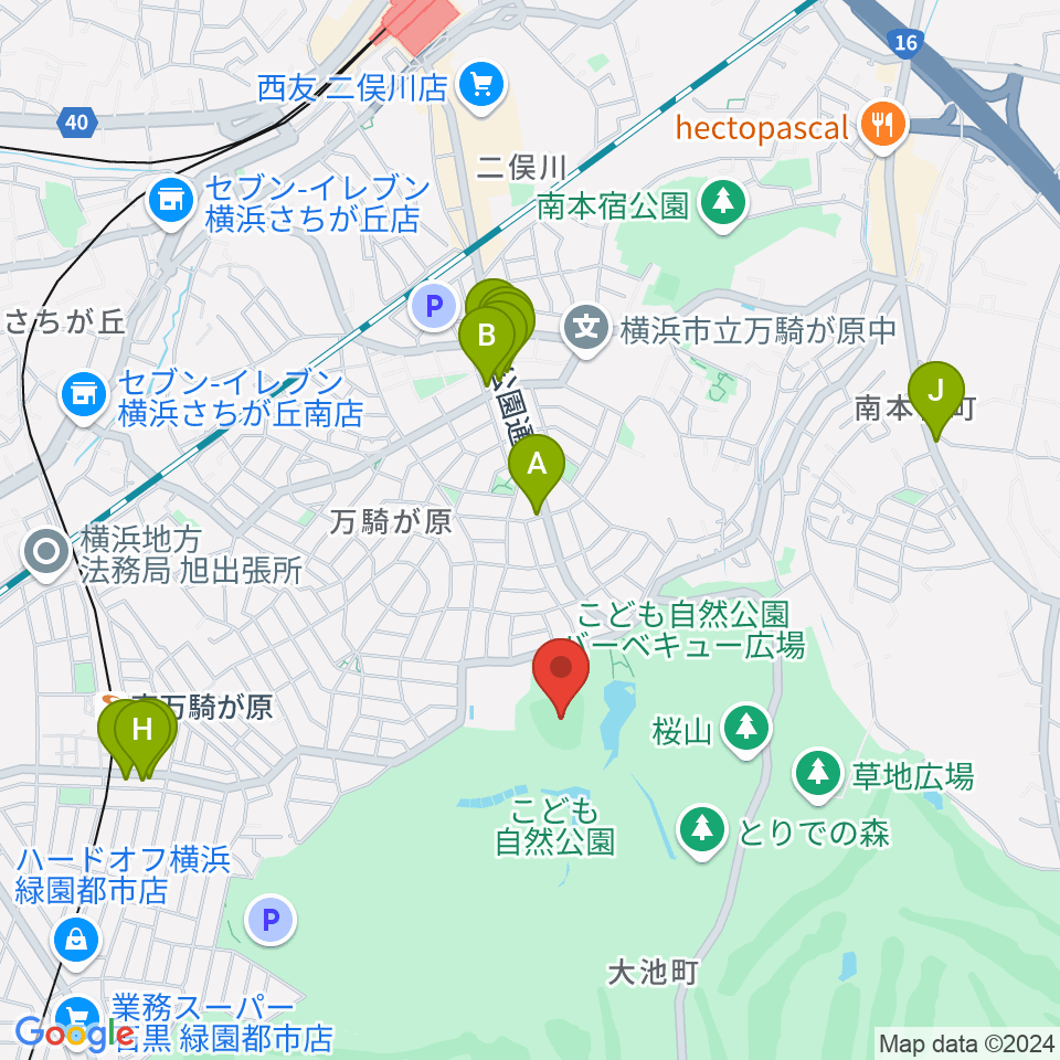 こども自然公園野球場周辺のファミレス・ファーストフード一覧地図