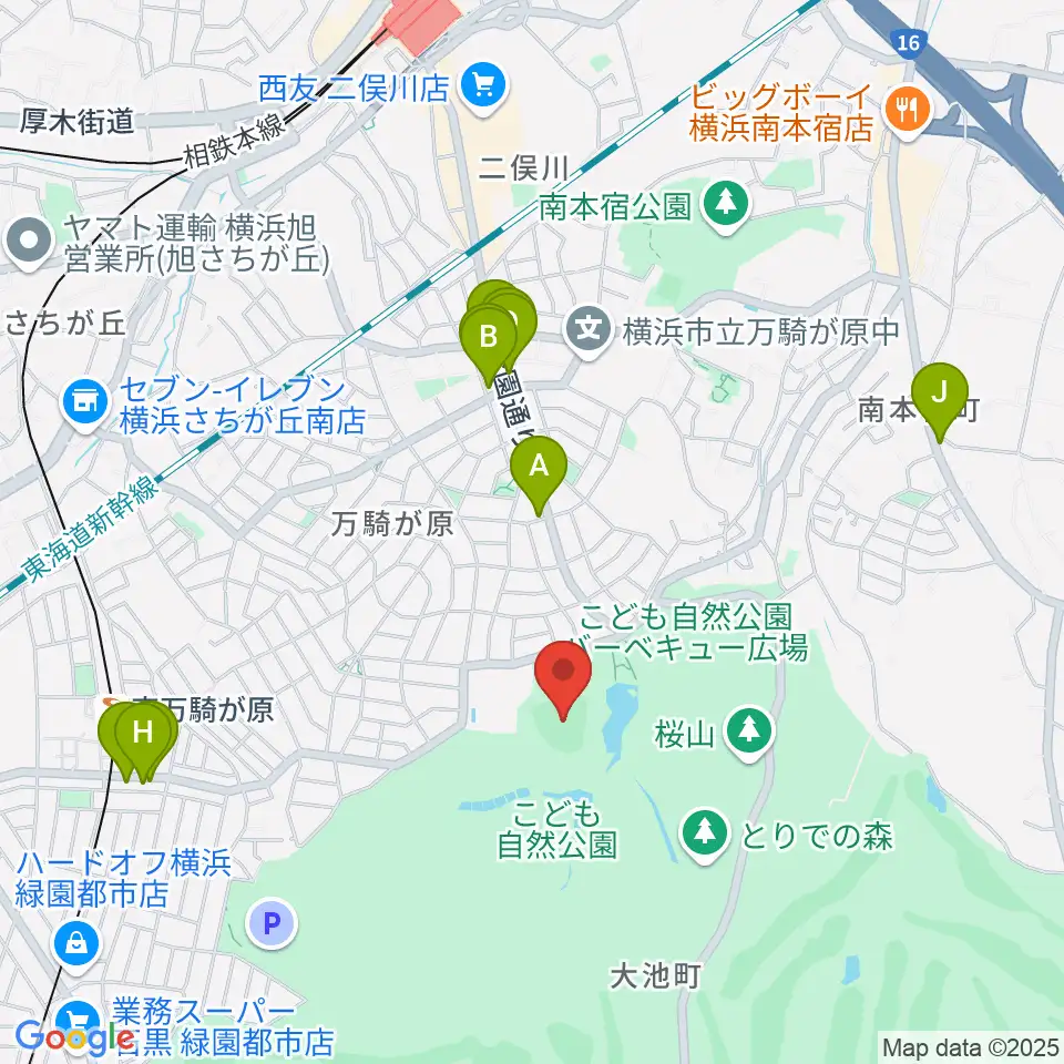 こども自然公園野球場周辺のファミレス・ファーストフード一覧地図