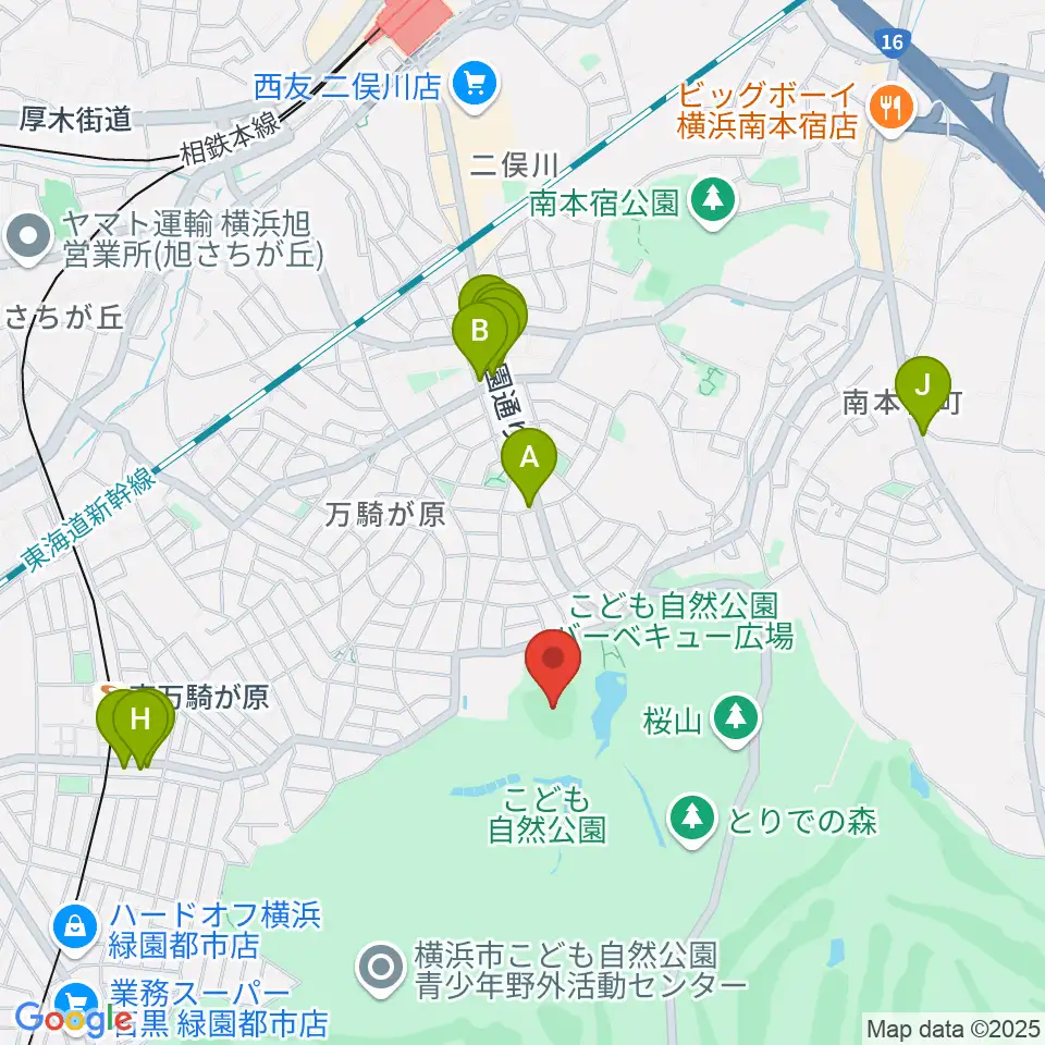 こども自然公園野球場周辺のファミレス・ファーストフード一覧地図