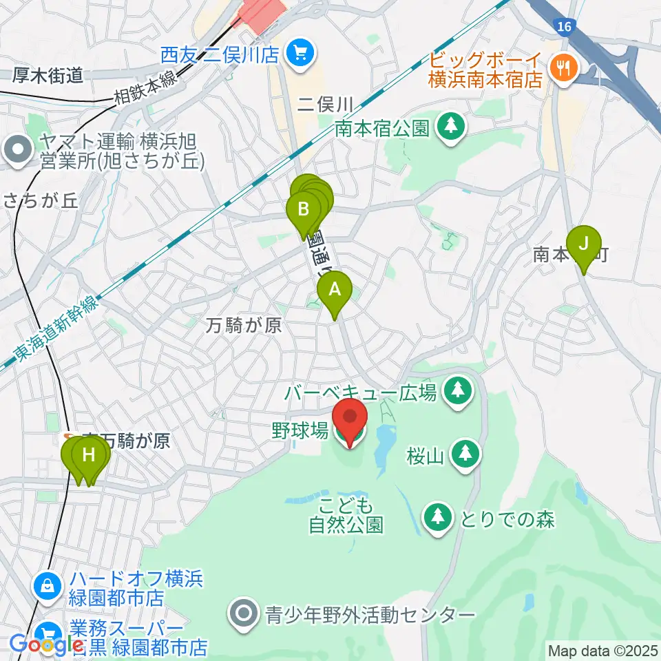 こども自然公園野球場周辺のファミレス・ファーストフード一覧地図