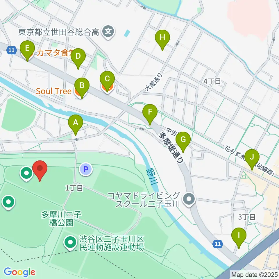 二子玉川緑地野球場周辺のファミレス・ファーストフード一覧地図