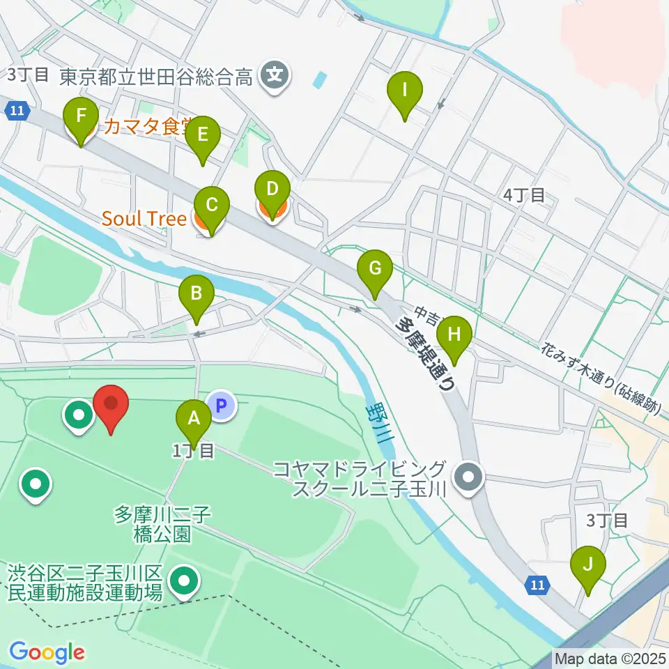 二子玉川緑地野球場周辺のファミレス・ファーストフード一覧地図
