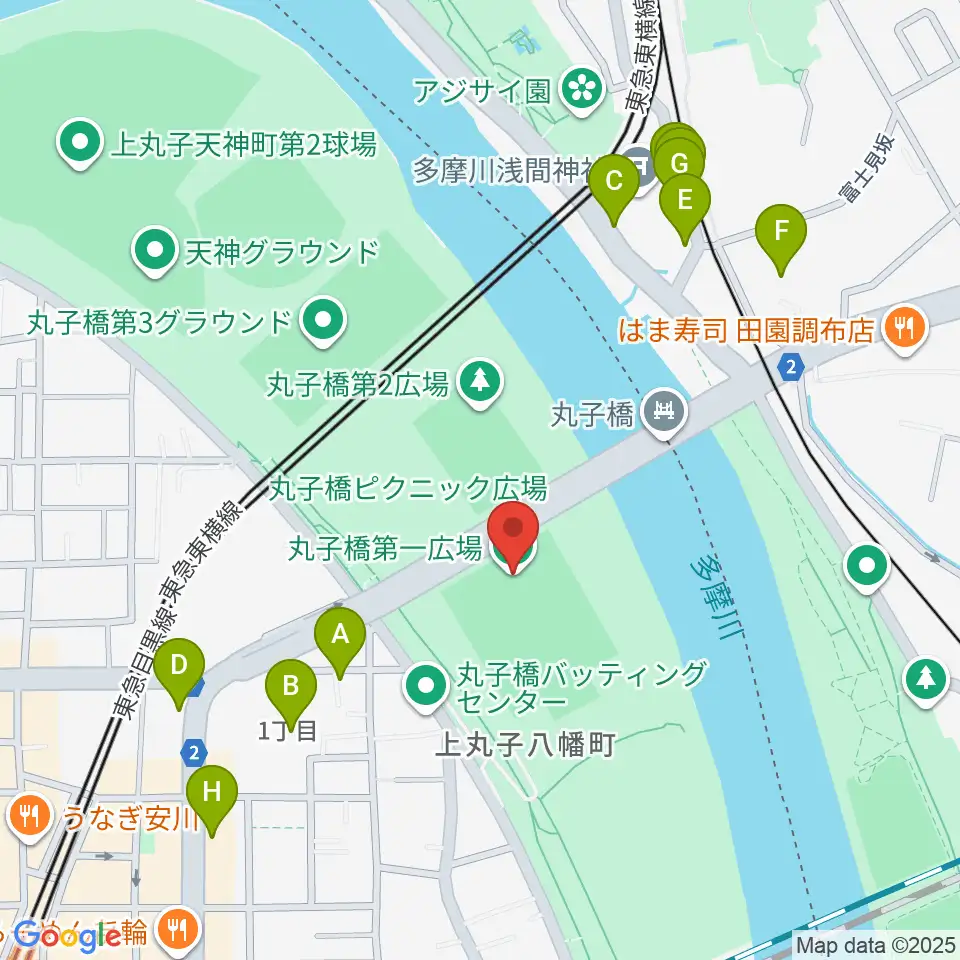 丸子橋運動場周辺のファミレス・ファーストフード一覧地図