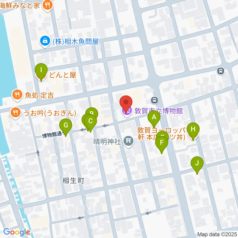 敦賀市立博物館周辺のファミレス・ファーストフード一覧地図