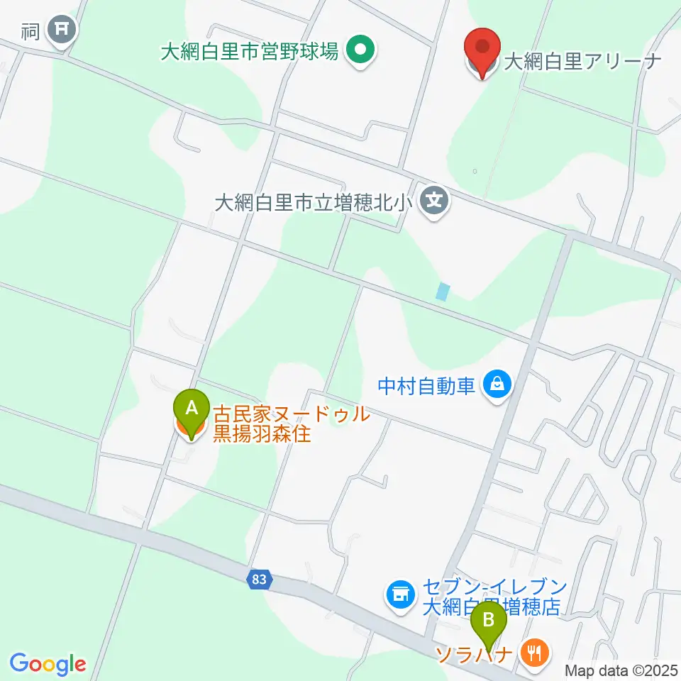 大網白里アリーナ周辺のファミレス・ファーストフード一覧地図