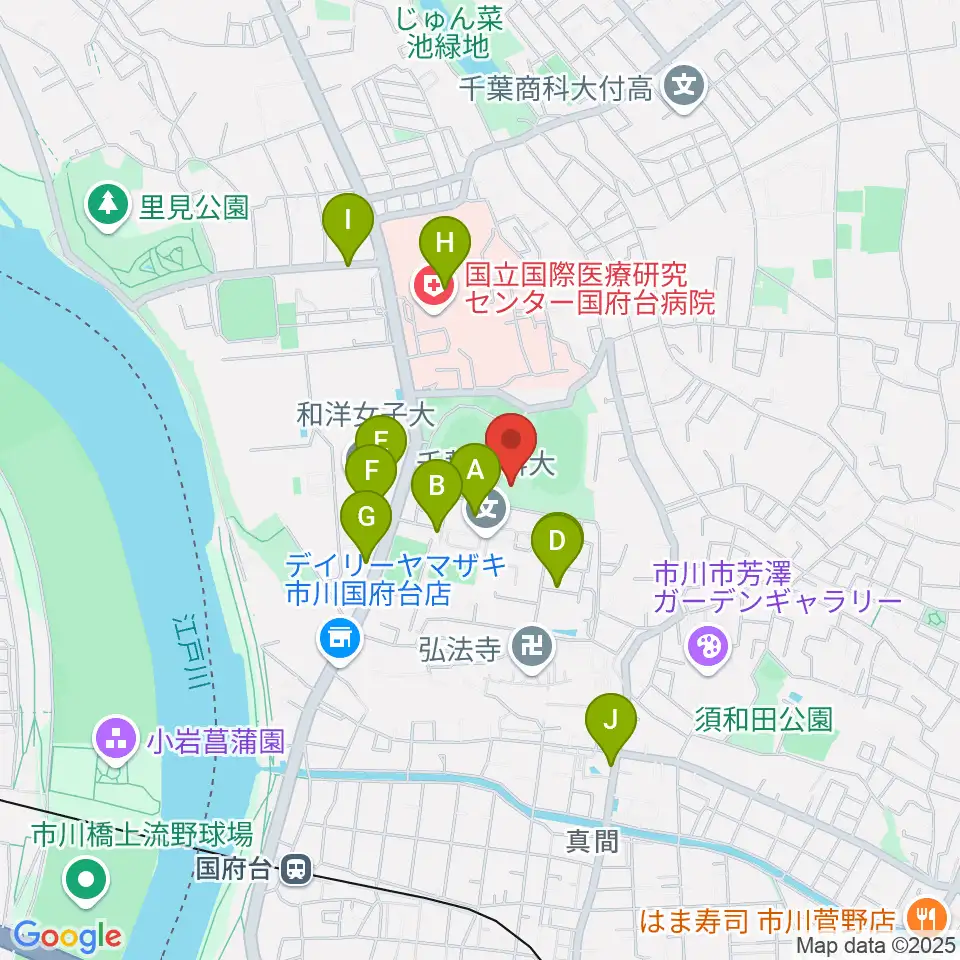 国府台市民体育館周辺のファミレス・ファーストフード一覧地図