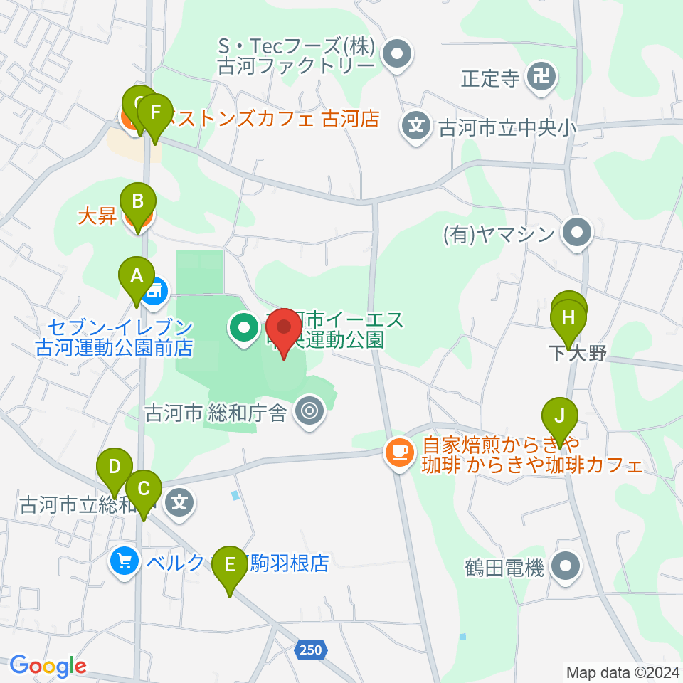 古河市イーエス中央運動公園陸上競技場周辺のファミレス・ファーストフード一覧地図