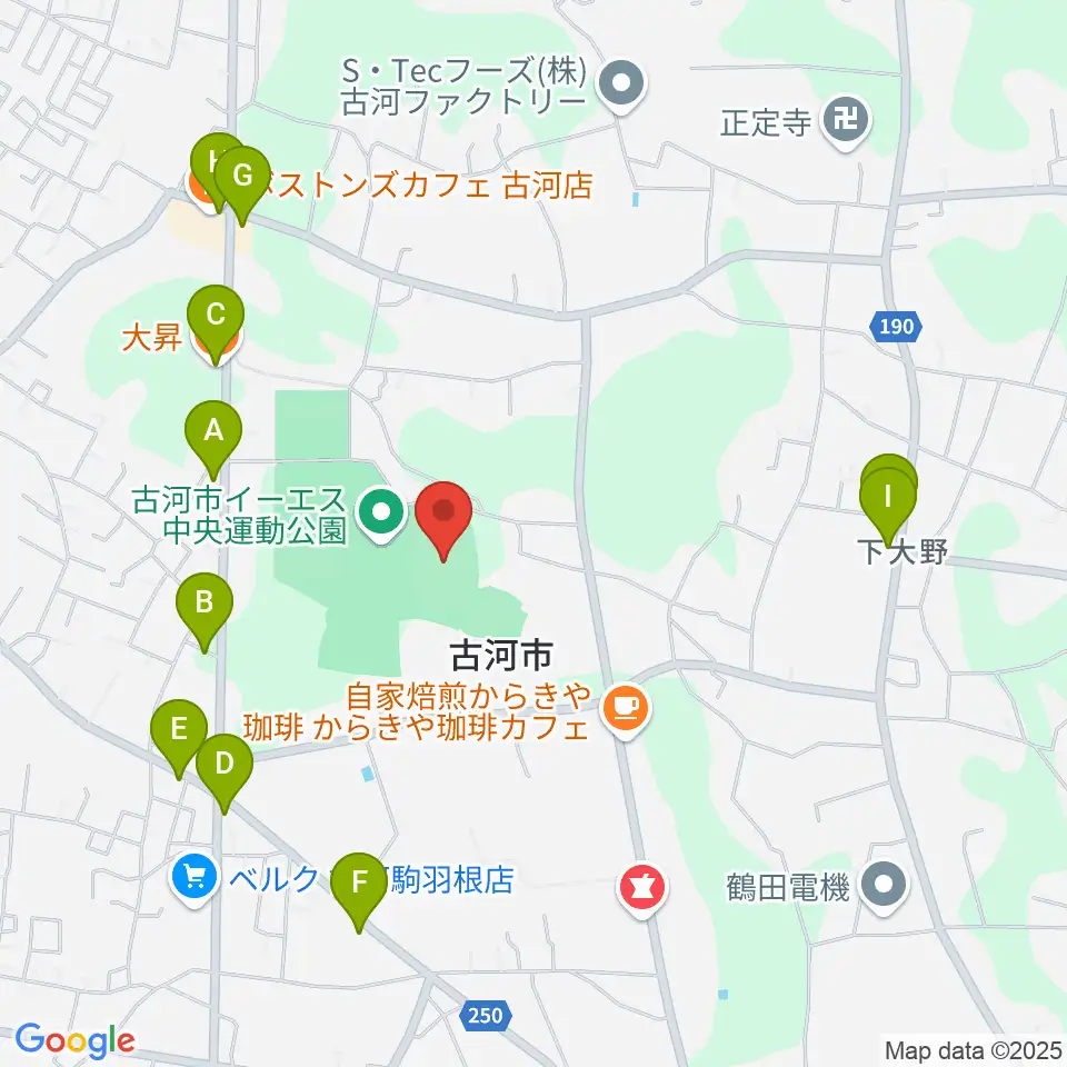 古河市イーエス中央運動公園陸上競技場周辺のファミレス・ファーストフード一覧地図