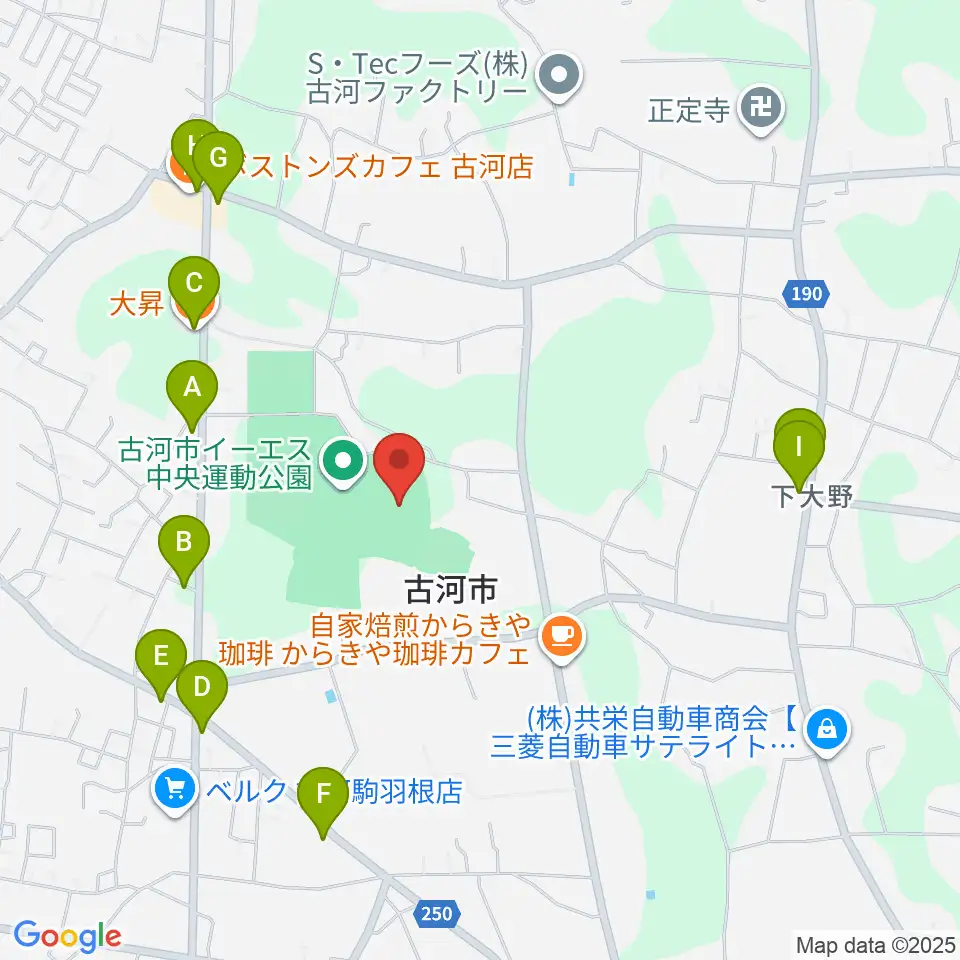 古河市イーエス中央運動公園陸上競技場周辺のファミレス・ファーストフード一覧地図