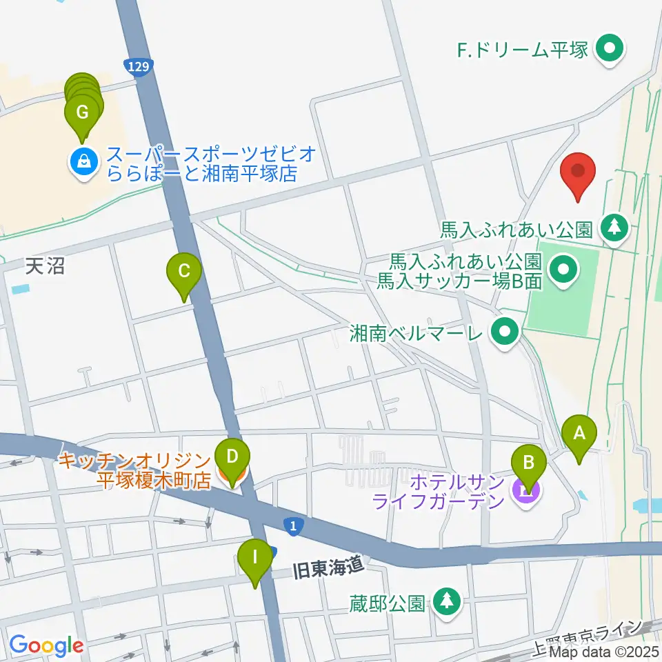 ひらつかサン・ライフアリーナ周辺のファミレス・ファーストフード一覧地図