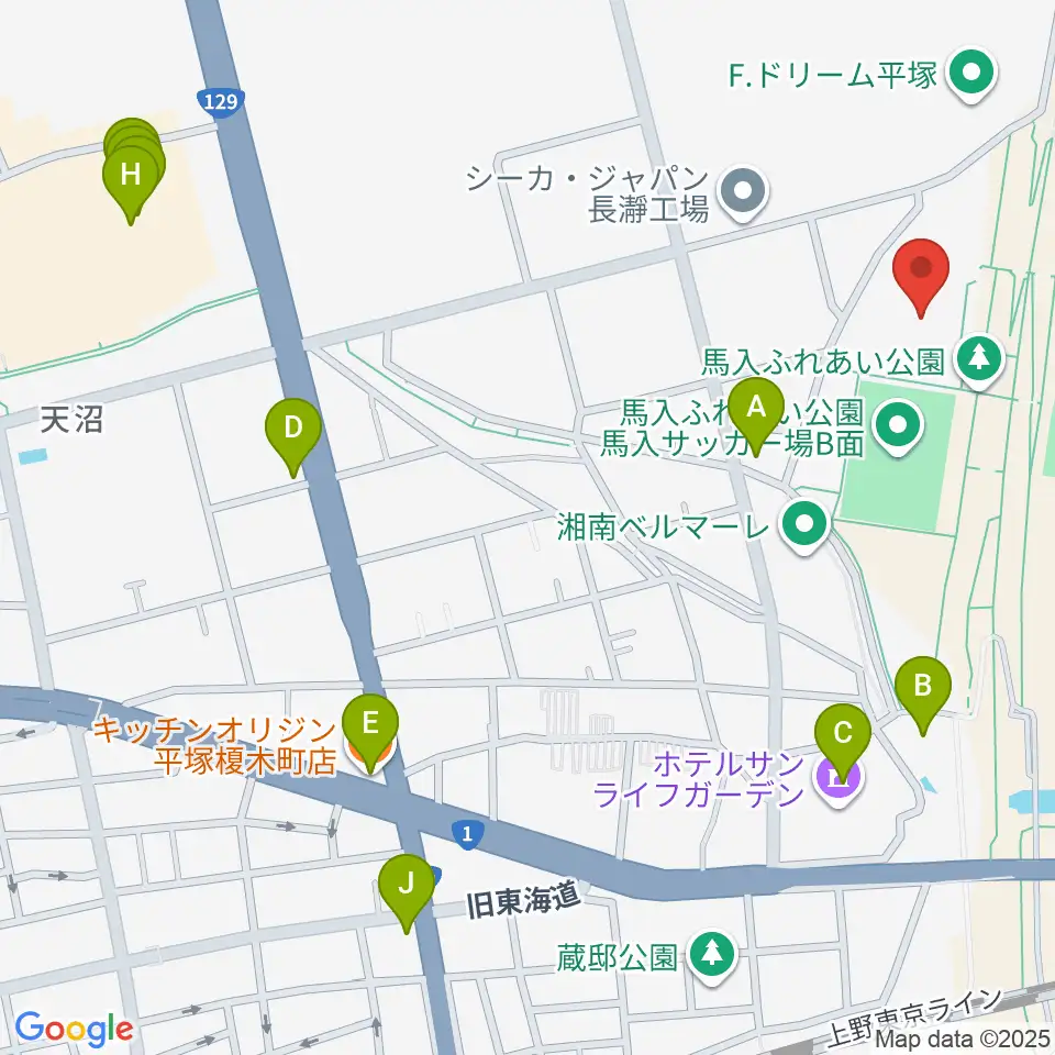 ひらつかサン・ライフアリーナ周辺のファミレス・ファーストフード一覧地図