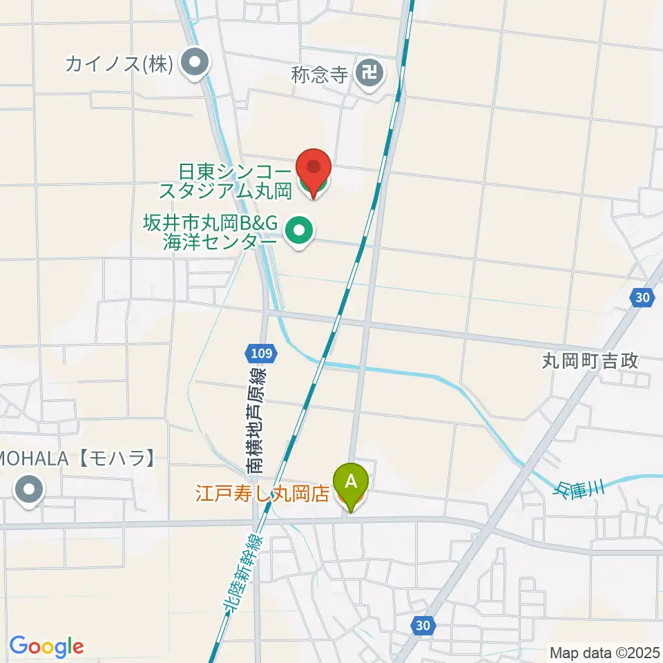 日東シンコースタジアム丸岡サッカー場周辺のファミレス・ファーストフード一覧地図