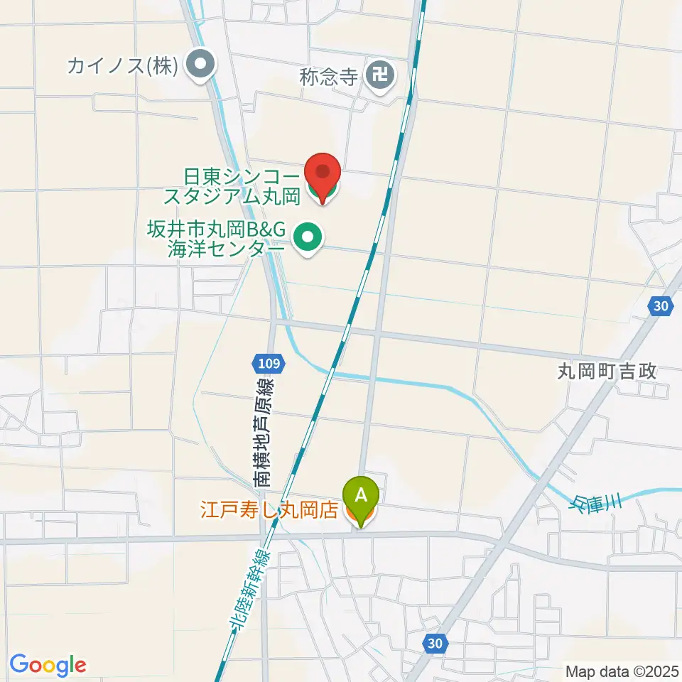 日東シンコースタジアム丸岡サッカー場周辺のファミレス・ファーストフード一覧地図