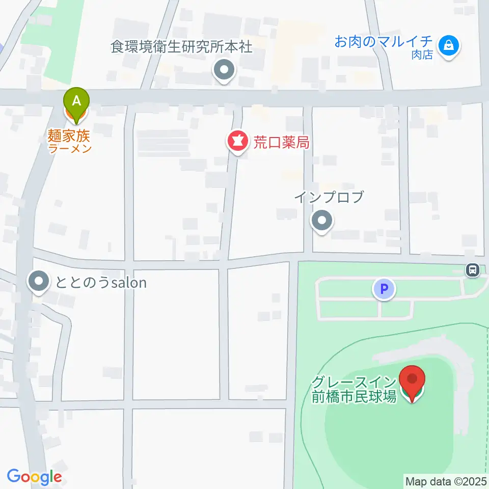 グレースイン前橋市民球場周辺のファミレス・ファーストフード一覧地図