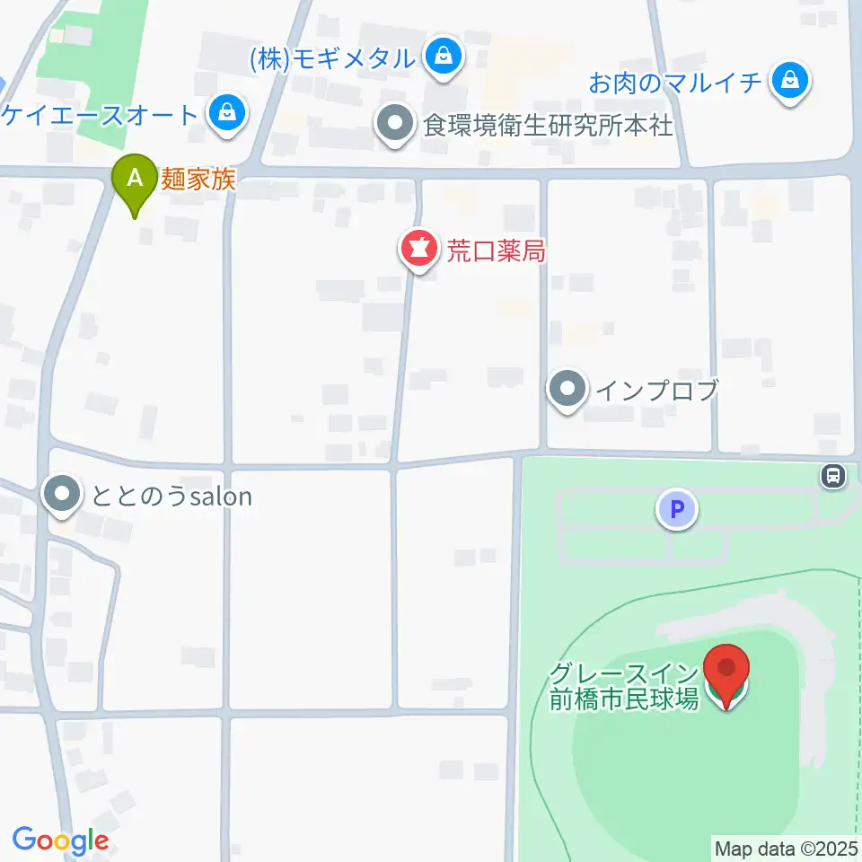 グレースイン前橋市民球場周辺のファミレス・ファーストフード一覧地図