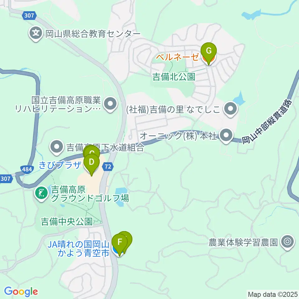 岡崎嘉平太記念館周辺のファミレス・ファーストフード一覧地図