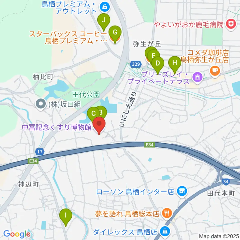 中冨記念くすり博物館周辺のファミレス・ファーストフード一覧地図