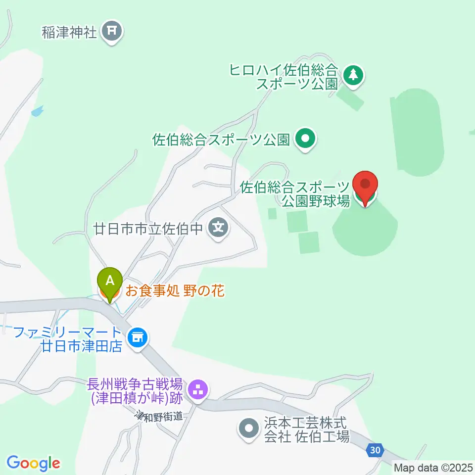 HIROHAI佐伯総合スポーツ公園野球場周辺のファミレス・ファーストフード一覧地図