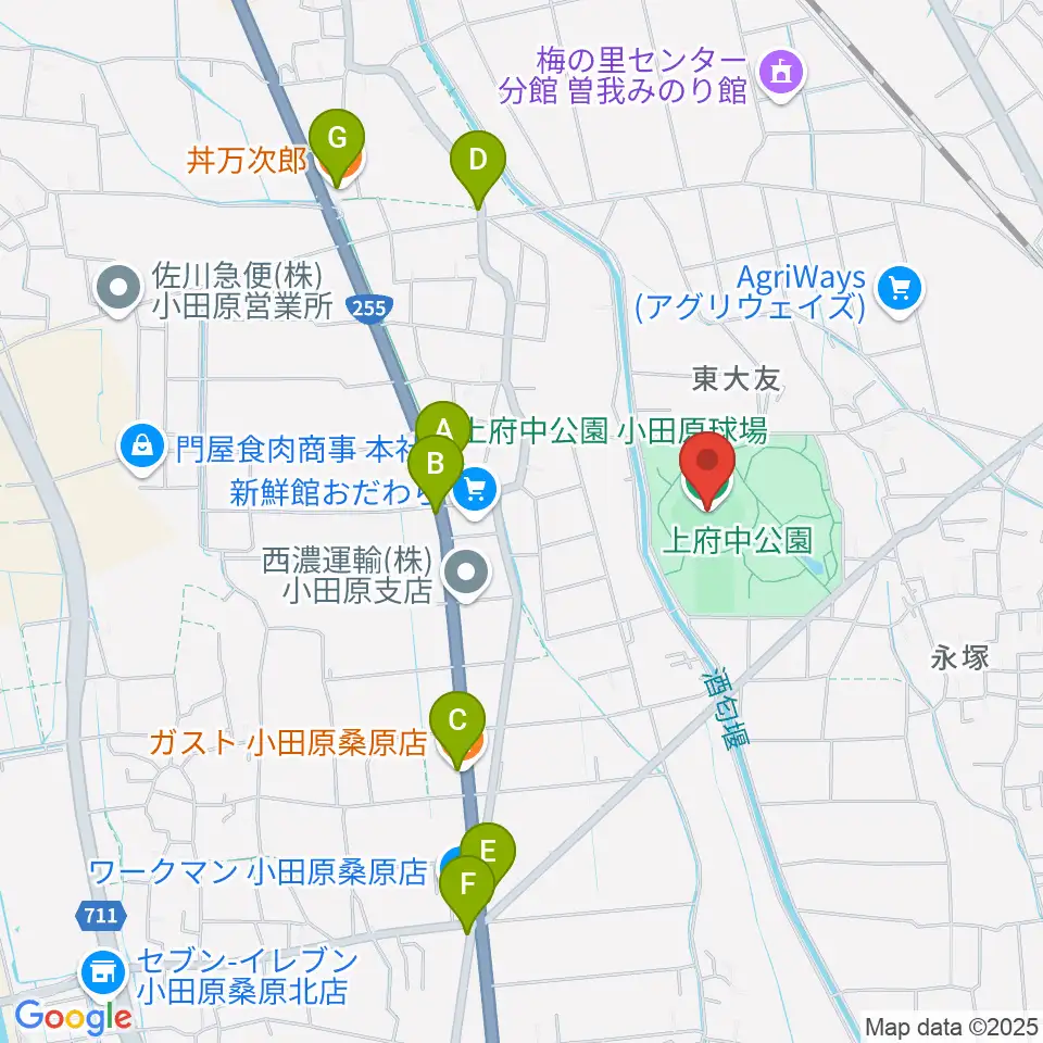 小田原球場周辺のファミレス・ファーストフード一覧地図