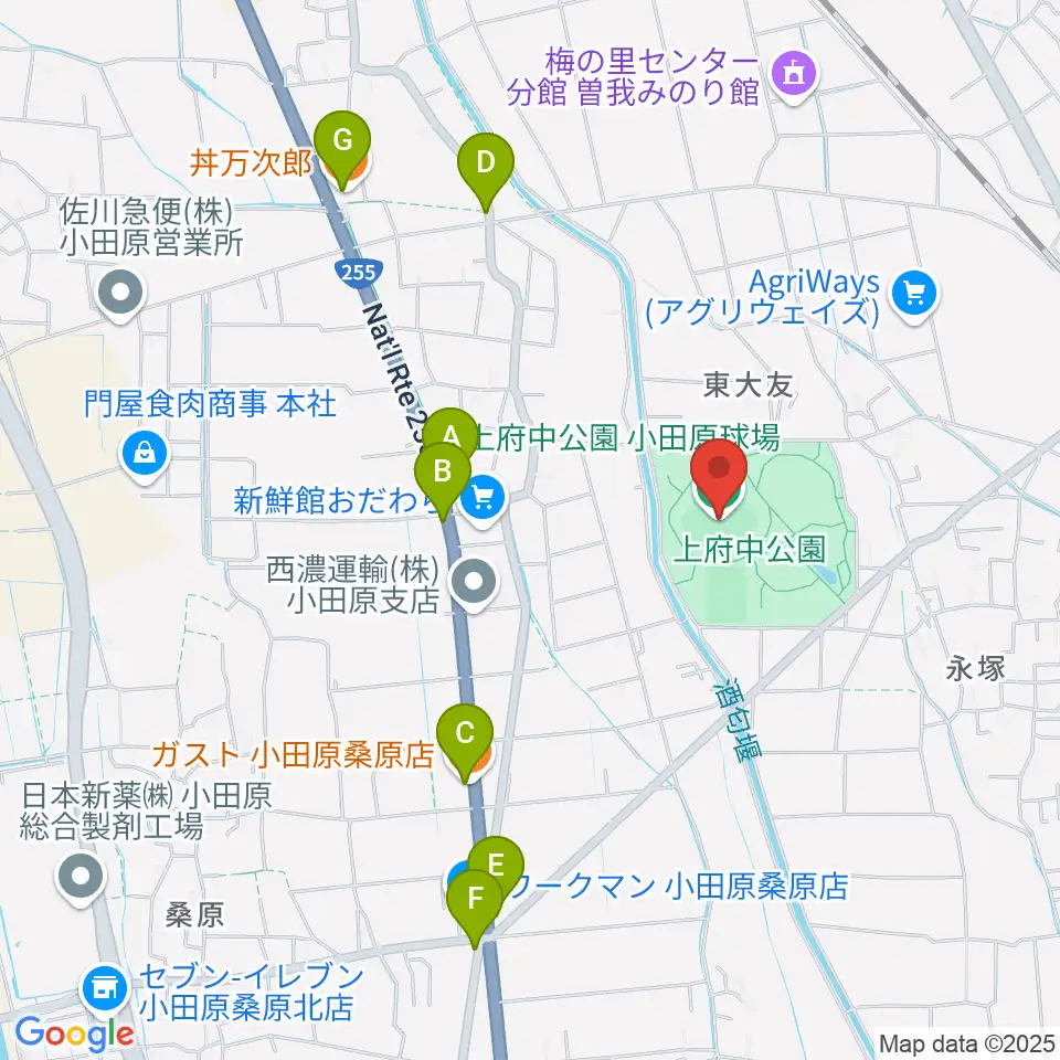 小田原球場周辺のファミレス・ファーストフード一覧地図
