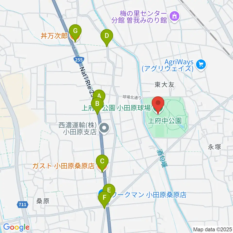小田原球場周辺のファミレス・ファーストフード一覧地図