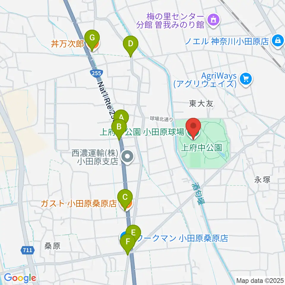 小田原球場周辺のファミレス・ファーストフード一覧地図