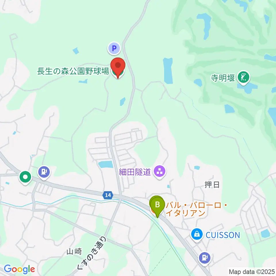 長生の森公園野球場周辺のファミレス・ファーストフード一覧地図