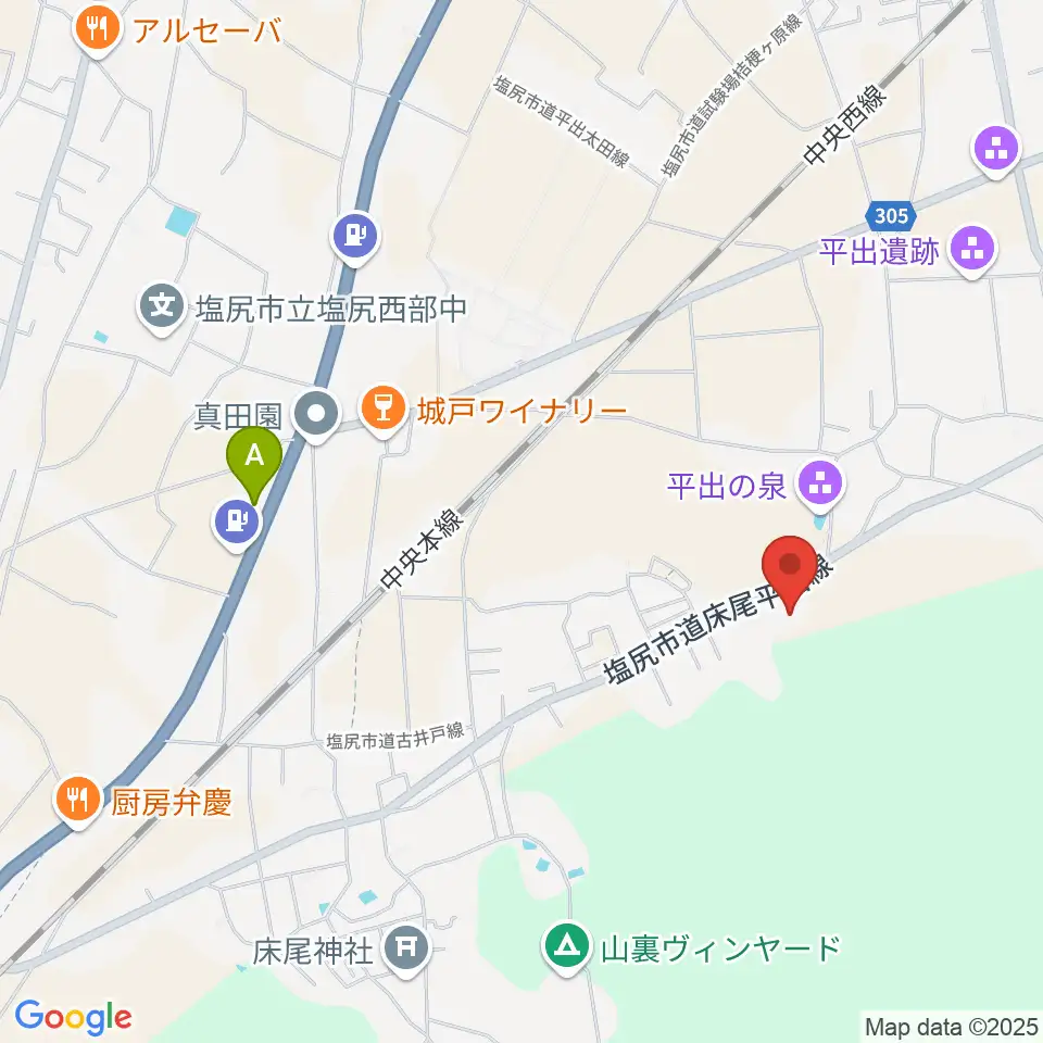 塩尻市立平出博物館周辺のファミレス・ファーストフード一覧地図