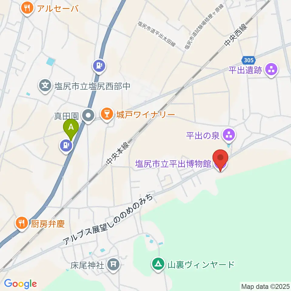 塩尻市立平出博物館周辺のファミレス・ファーストフード一覧地図