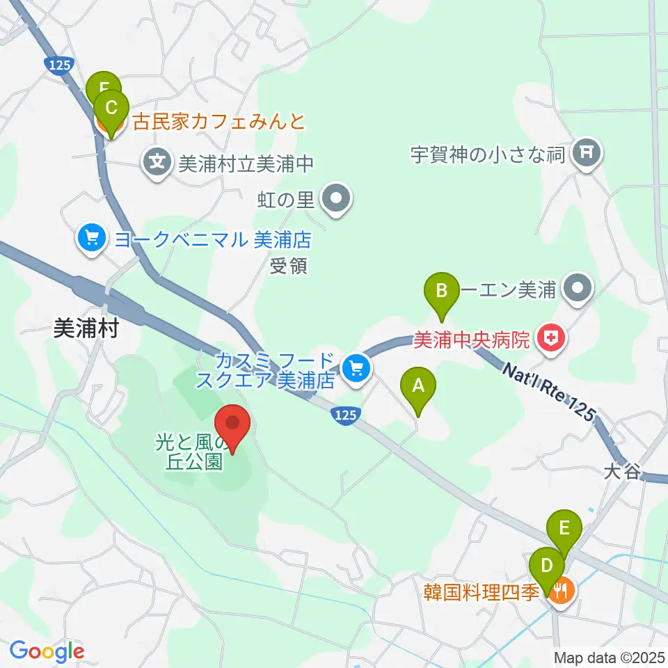 晴天スタジアム美浦周辺のファミレス・ファーストフード一覧地図