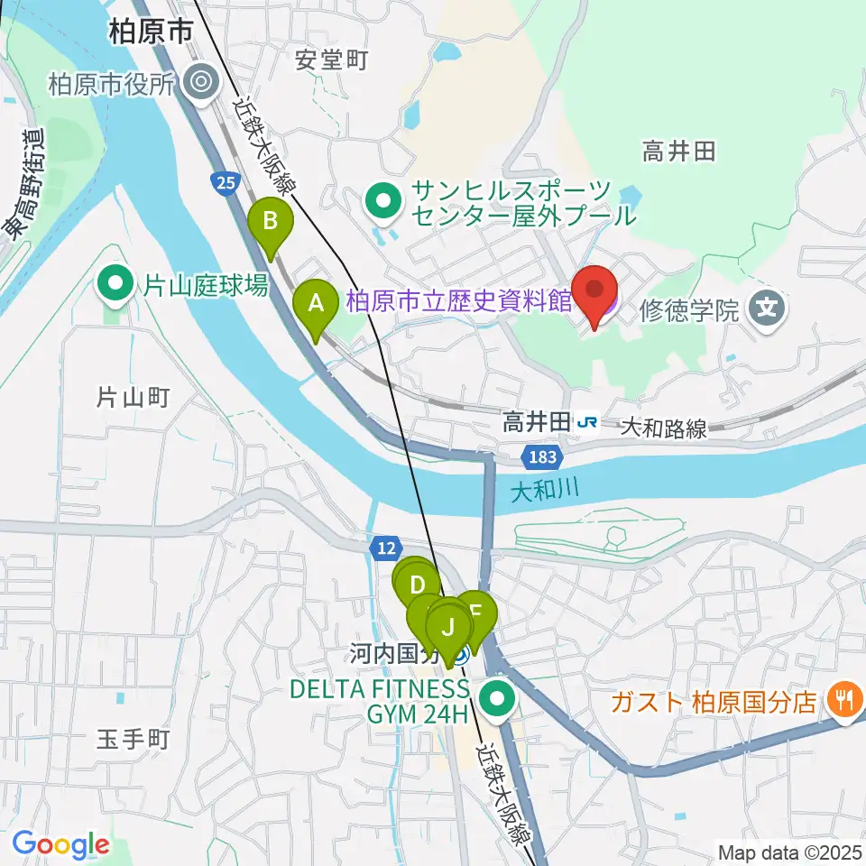 柏原市立歴史資料館周辺のファミレス・ファーストフード一覧地図