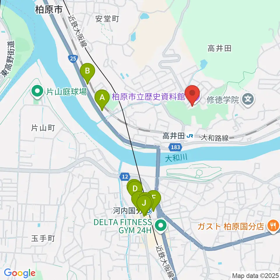 柏原市立歴史資料館周辺のファミレス・ファーストフード一覧地図